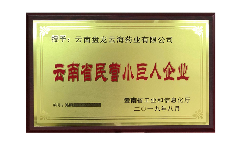 云南省民營(yíng)小巨人企業(yè)